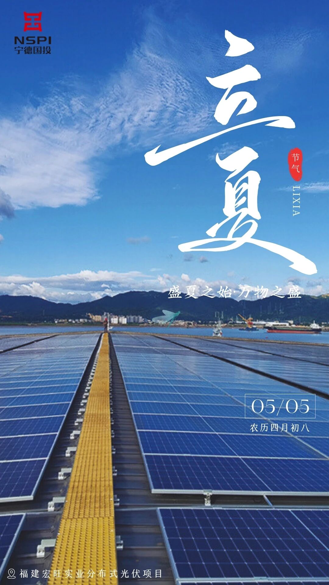 【骨气·立夏】一叶知夏 万木葱翠