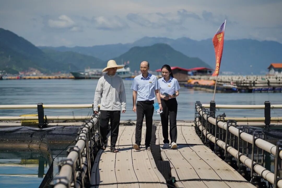 【服膺嘱托 谱写篇章】纾困助企强根基 普惠金融添动能