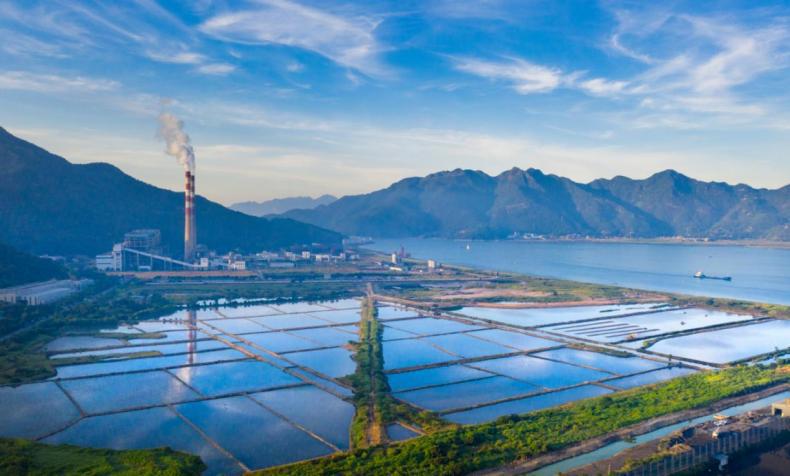 【开驹祓势 实绩检验】29载逐梦山海！闽东能源以“景致水火”绘就绿色发展新图景